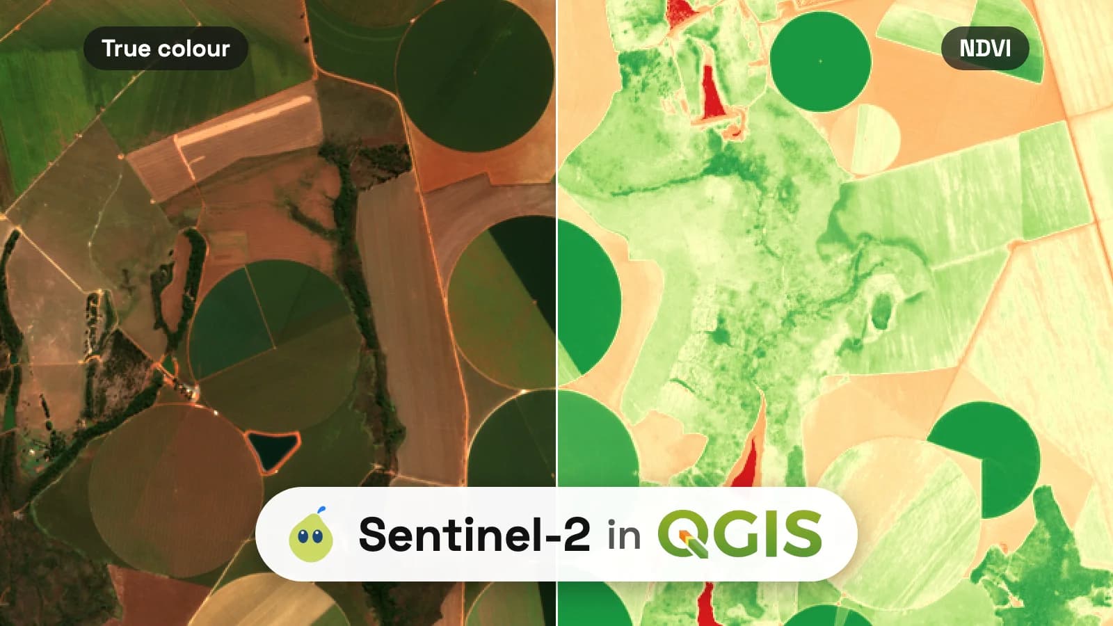 Centre-pivot farms near Cristalina, Brazil, from the Sentinel-2 image of 7 July 2026, split in two: true colour on the left, NDVI from red to green on the right, under the title Sentinel-2 in QGIS.