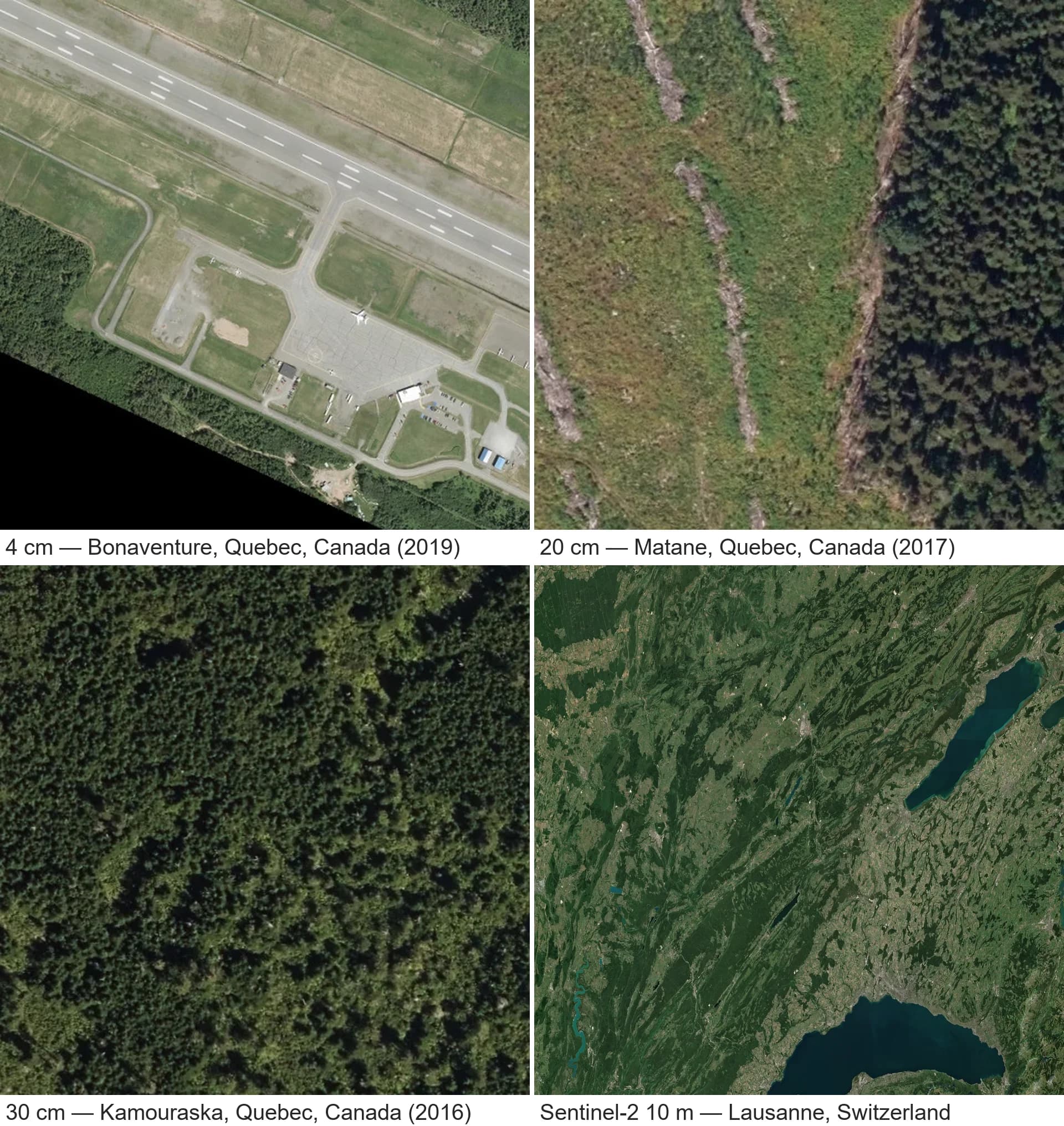 Ortho aerienne MRNF a resolution native sur un secteur forestier quebecois