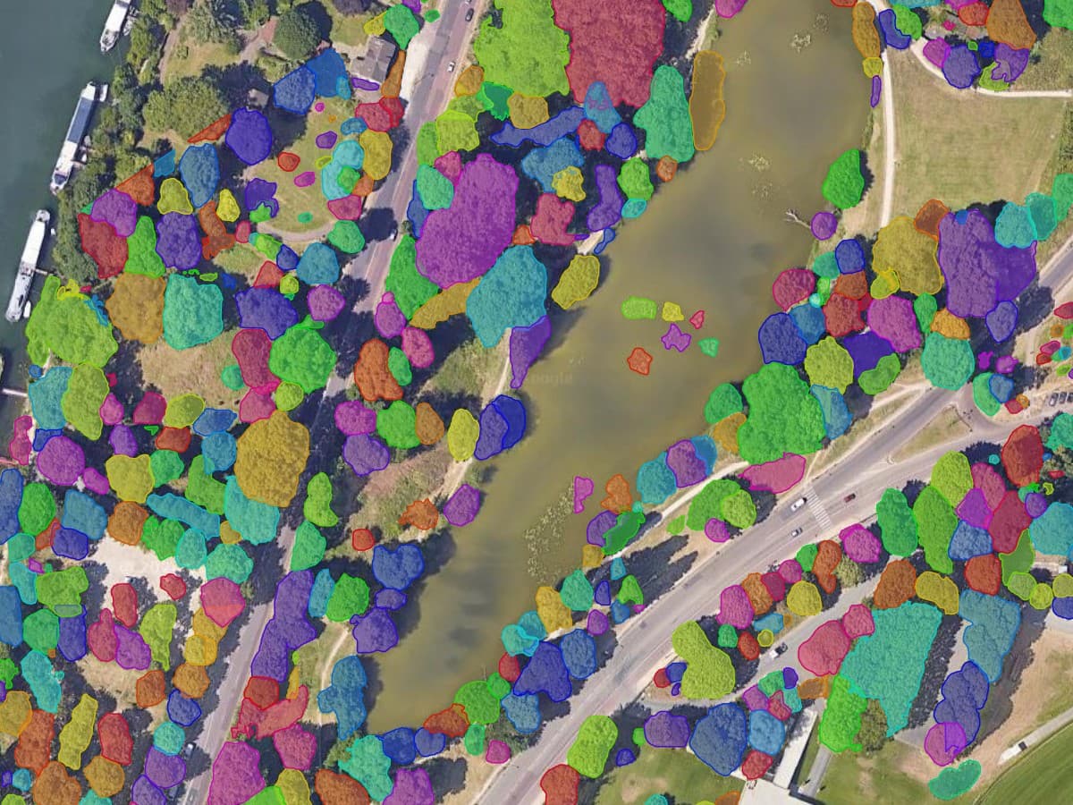 Parklandschaft und ein See aus der Luft, jede erkannte Baumkrone mit eigener Farbe gefüllt