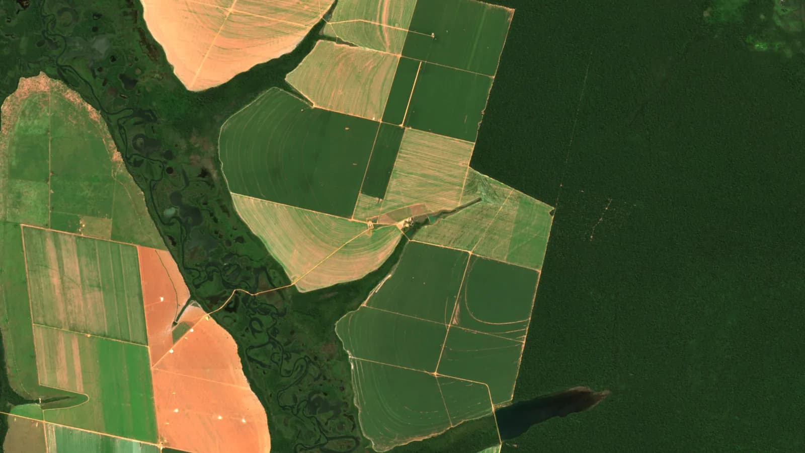 Image Sentinel-2 en vraies couleurs près de Querência, Mato Grosso, Brésil : forêt amazonienne dense à droite, parcelles cultivées vertes et claires, champs nus roses et une rivière marécageuse à gauche.