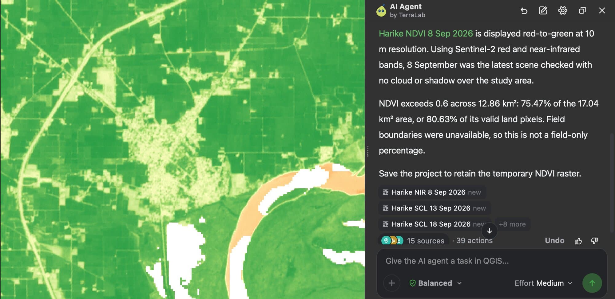 QGIS with the AI Agent panel on the right and an NDVI map of fields near Harike on the left, mostly green with the river in orange. The agent says Harike NDVI for 8 September 2026 is displayed red to green at 10 m, that 8 September was the latest scene with no cloud or shadow over the area, and that NDVI exceeds 0.6 across 12.86 km², 75.47% of the 17.04 km² area.