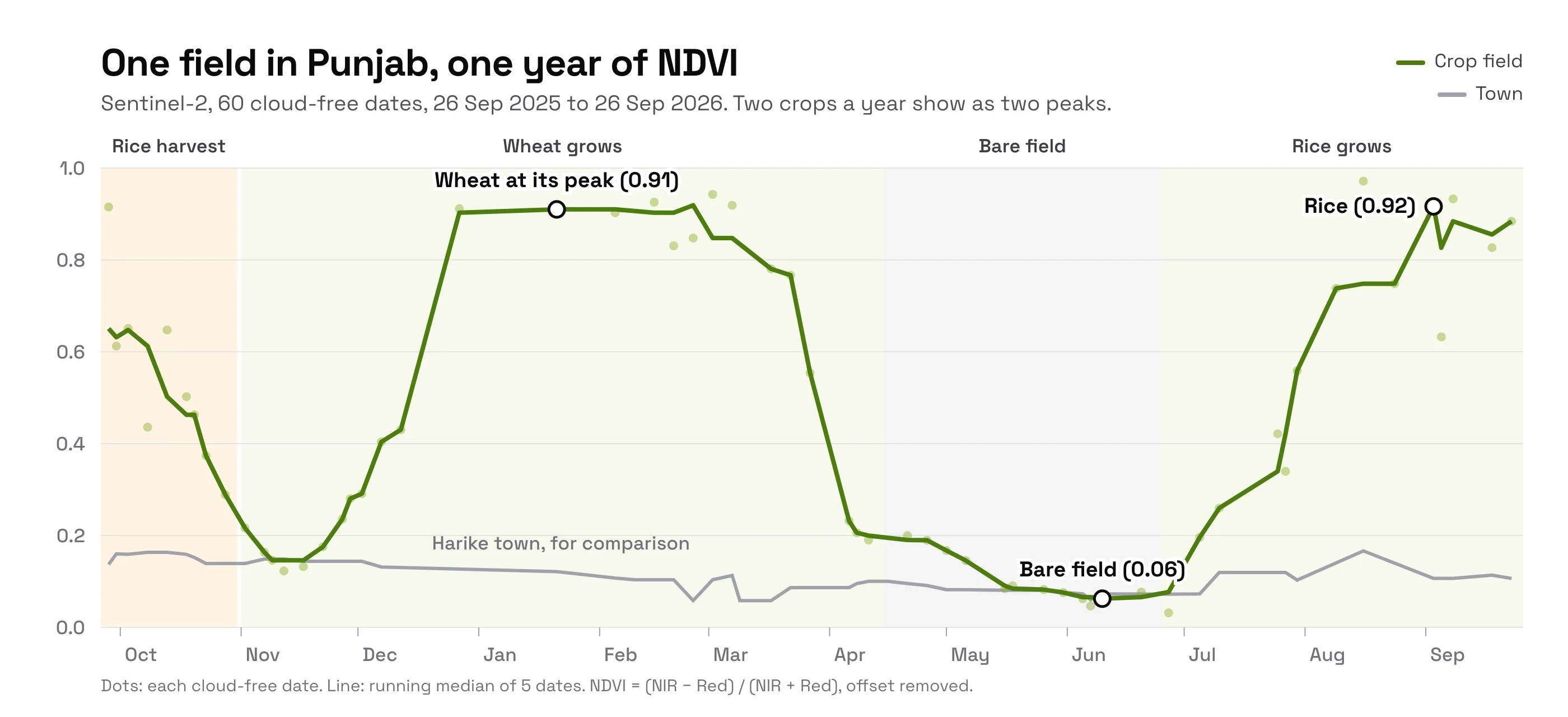 Line chart of NDVI for one crop field near Harike, Punjab, from September 2025 to September 2026. The value falls during the October rice harvest, rises to about 0.91 as wheat grows through winter, drops after the April wheat harvest to about 0.06 when the field is bare in May and June, then climbs again to about 0.92 as rice grows in July to September. A grey line for Harike town stays between 0.05 and 0.17 all year.