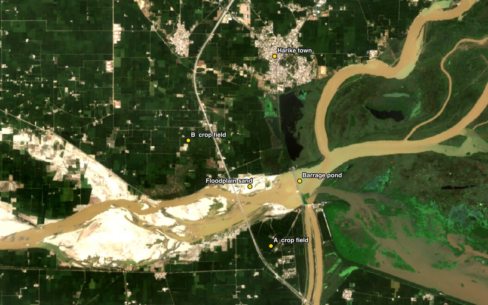 Sentinel-2 true colour image of the Harike area in Punjab with five yellow dots marking the sample spots: crop field A, crop field B, Harike town, the barrage pond and floodplain sand along the river.