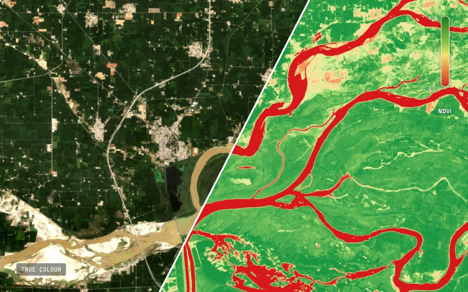 Diagonal split of the Harike wetland in Punjab, India: true colour satellite imagery on the left, the same scene recoloured by NDVI on the right, with a green-to-red NDVI legend strip.
