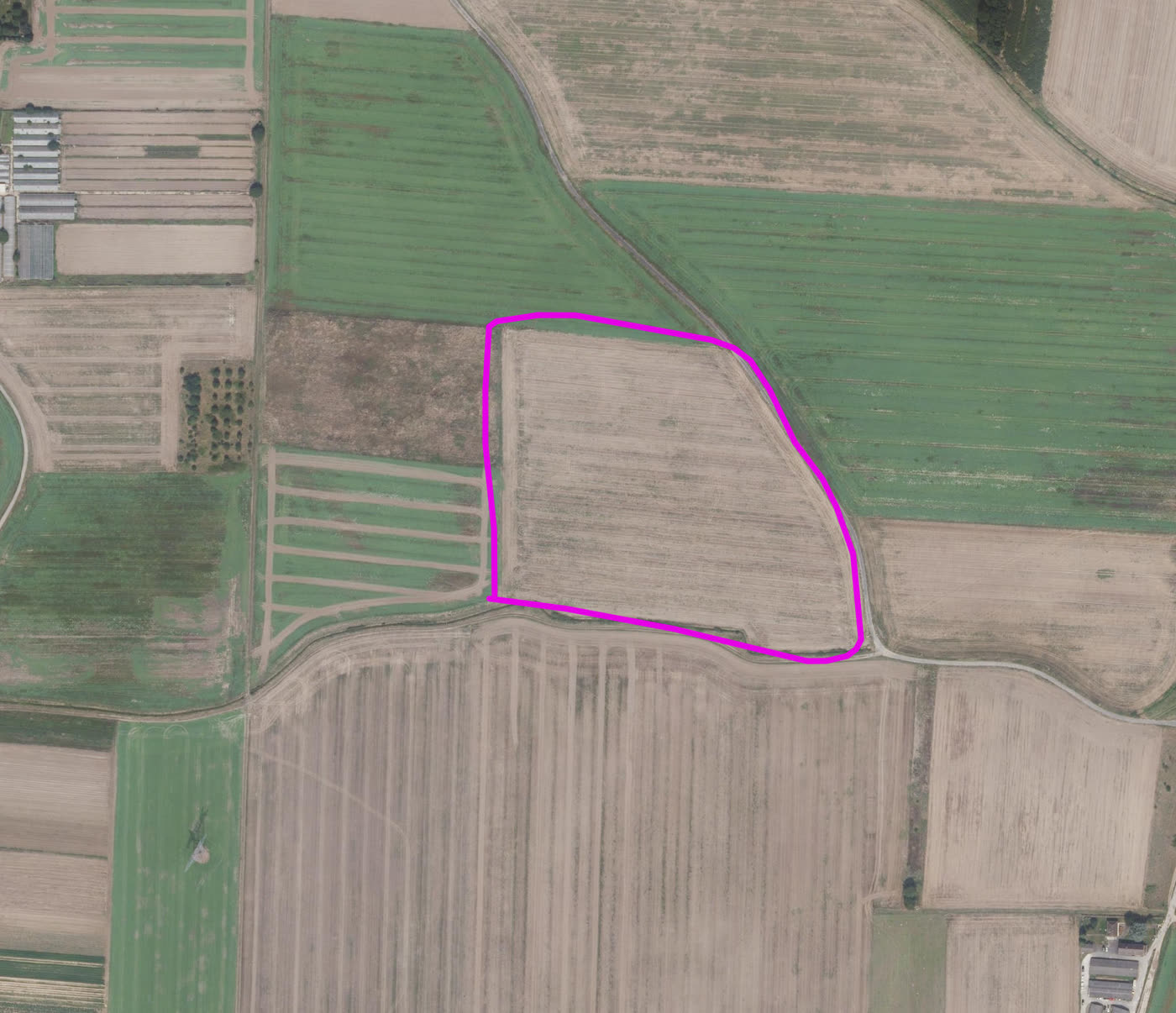 A bare field with a pink outline, then the same field with trees planted inside the outline (before)