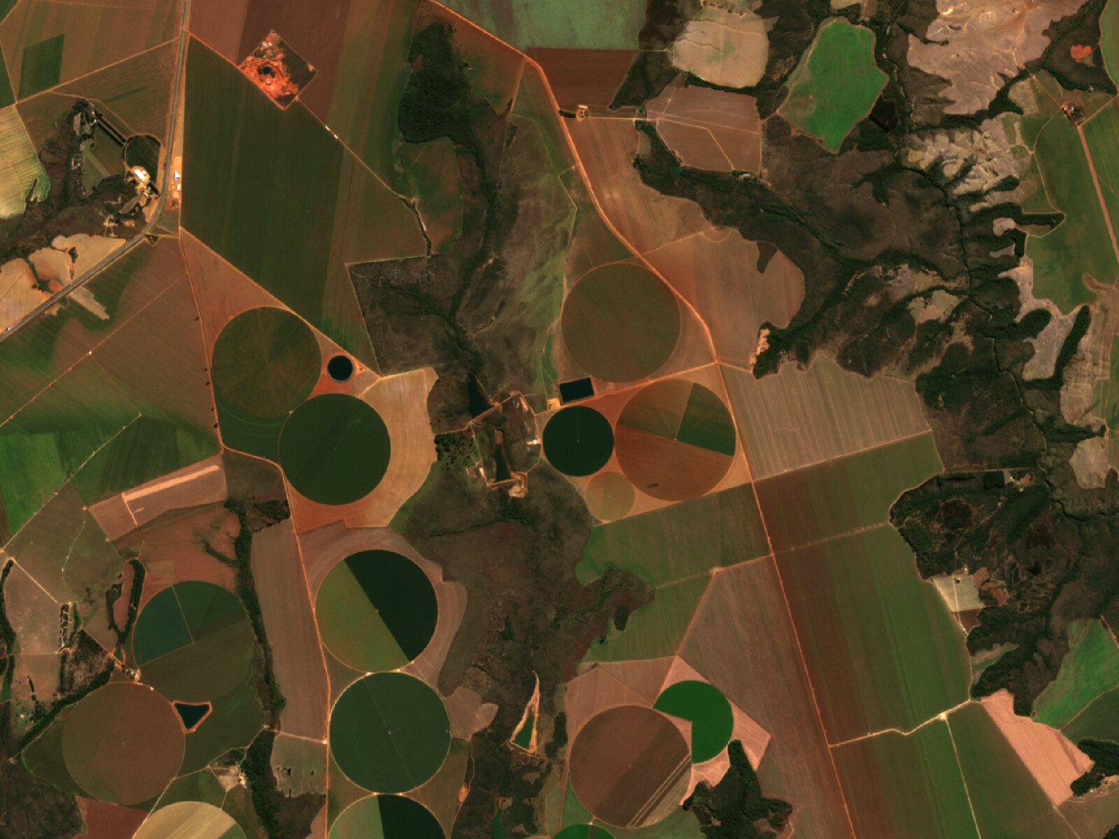 Centre pivots near Cristalina in Sentinel-2 true colour, then the same view as NDVI from red to green (before)