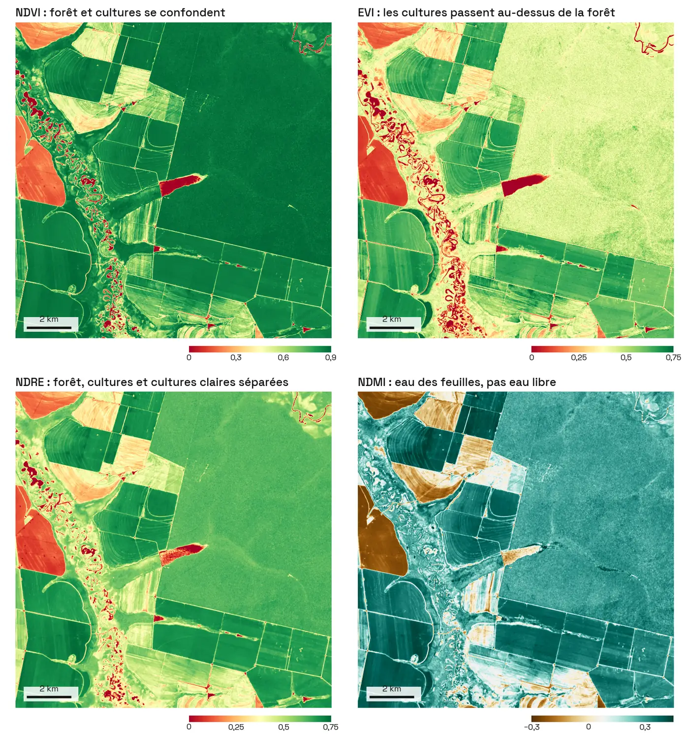 Quatre cartes du même carré de 15 km près de Querência, Mato Grosso. Le NDVI montre la forêt et les parcelles dans le même vert foncé. L'EVI montre la forêt en vert-jaune pâle et les parcelles en vert plus foncé. Le NDRE montre la forêt en vert moyen, distincte des cultures plus foncées et des parcelles claires. Le NDMI montre cultures et forêt en bleu-vert, les champs nus en brun et le réservoir en beige pâle.