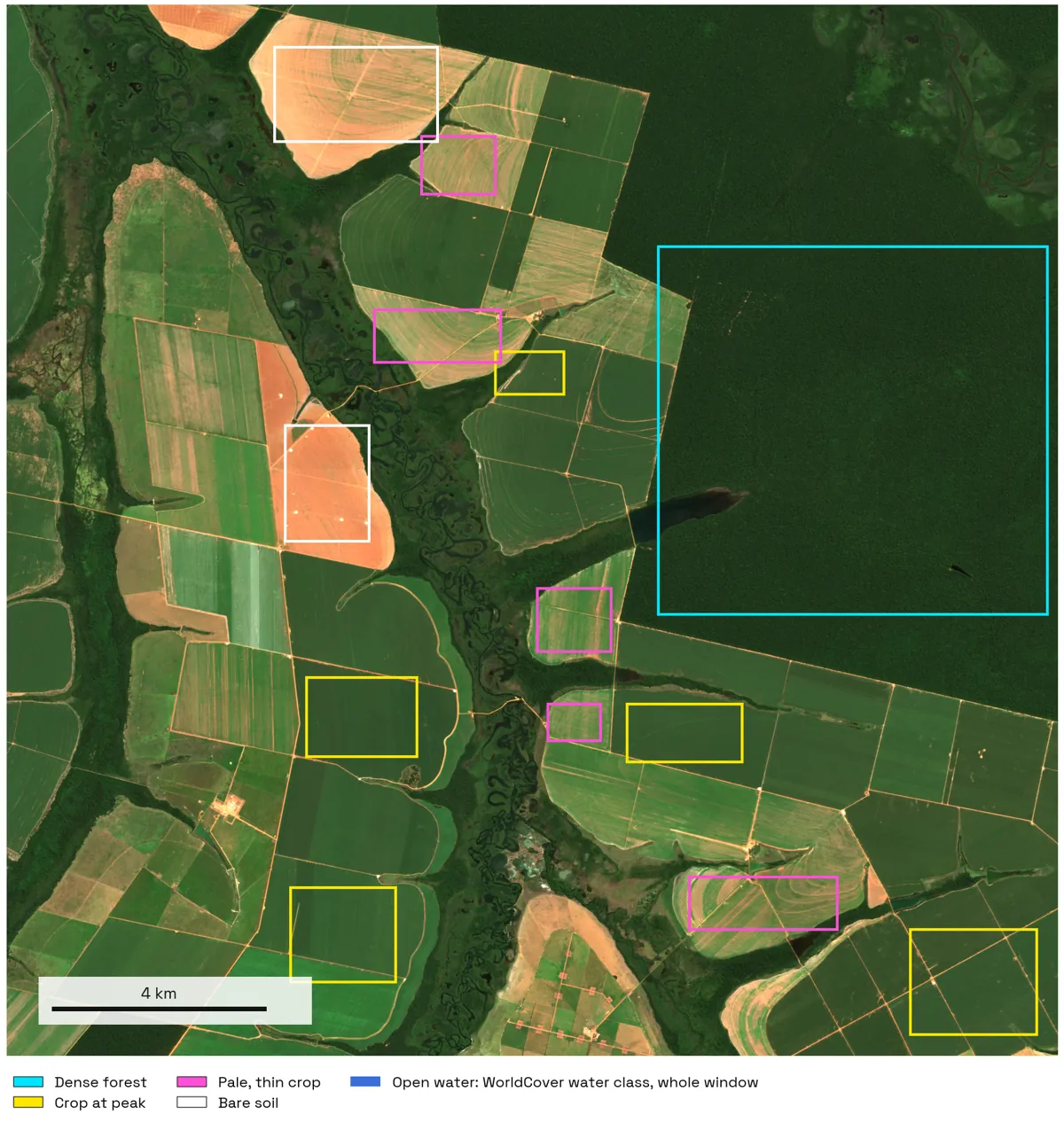 True colour Sentinel-2 image of the 20 km window with coloured rectangles: one large cyan box over the forest, yellow boxes over dark green fields, magenta boxes over pale striped fields, white boxes over two pink bare fields.
