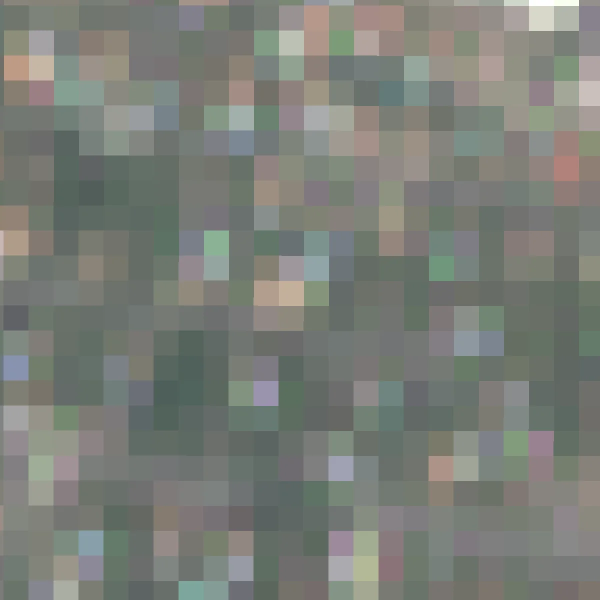 A residential block of Tournefeuille near Toulouse with houses, garden swimming pools, trees and curved streets at 20 cm, then the same square as a grid of 24 by 24 Sentinel-2 pixels in muted greens and greys where no house or pool can be picked out. (after)