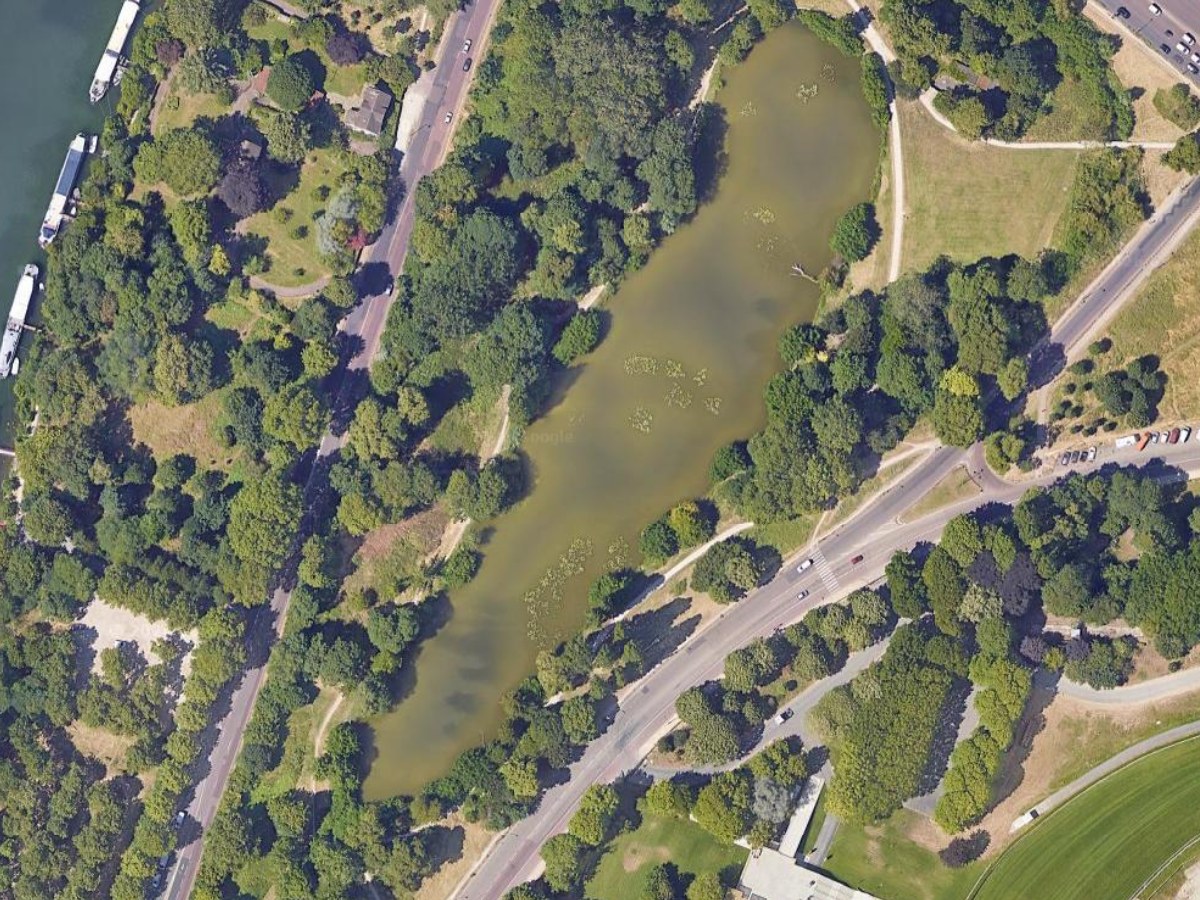 Parkland before and after every tree crown was detected as a separate polygon (before)